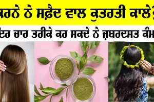 ਸਫ਼ੈਦ ਵਾਲ ਹੋਣਗੇ ਕੁਦਰਤੀ ਕਾਲੇ, ਛੱਡੋ ਕਲਰ ਕੈਮੀਕਲ ਵਾਲੇ ! ਪੂਰੀ ਜਾਣਕਾਰੀ ਲਈ ਇਹ ਚਾਰ ਤਰੀਕੇ ਪੜ੍ਹ ਲਓ