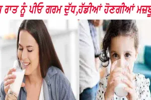 ਰੋਜ਼ ਰਾਤ ਨੂੰ ਪੀਓ ਗਰਮ ਦੁੱਧ, ਹੱਡੀਆਂ ਹੋਣਗੀਆਂ ਮਜ਼ਬੂਤ