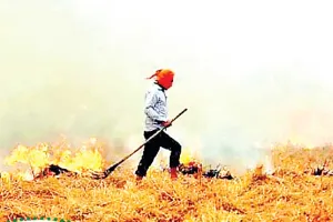 ਮੁਸੀਬਤ ਬਣ ਸਕਦੈ ਝੋਨੇ ਦੀ ਪਰਾਲੀ ਨੂੰ ਅੱਗ ਲਾਉਣ ਦਾ ਰੁਝਾਨ
