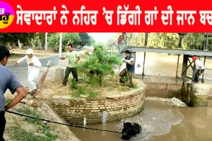 ਸੇਵਾਦਾਰਾਂ ਨੇ ਨਹਿਰ ’ਚ ਡਿੱਗੀ ਗਾਂ ਨੂੰ ਸੁਰੱਖਿਅਤ ਬਾਹਰ ਕੱਢਿਆ