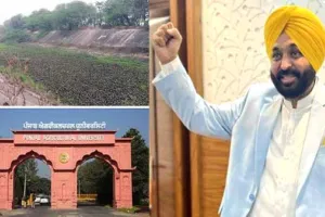 1 ਨਵੰਬਰ ਨੂੰ ਪੀਏਯੂ ਲੁਧਿਆਣਾ ’ਚ ਹੋਵੇਗੀ ਮਹਾਂਡਿਬੇਟ, ਪੰਜਾਬ ਸਰਕਾਰ ਨੇ ਕਰ ਲਈਆਂ ਤਿਆਰੀਆਂ