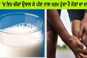 ਦੁੱਧ ’ਚ ਉਬਾਲ ਕੇ ਪੀਓ ਇਹ ਚੀਜ਼ਾਂ, ਇੱਕ ਹੀ ਦਿਨ ’ਚ ਖਤਮ ਹੋ ਜਾਵੇਗਾ ਜੋੜਾਂ ਦਾ ਦਰਦ