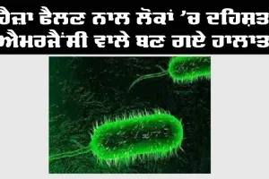ਹੈਜਾ ਫੈਲਣ ਨਾਲ ਐਮਰਜੈਂਸੀ ਦਾ ਐਲਾਨ, ਲੋਕਾਂ ’ਚ ਦਹਿਸ਼ਤ