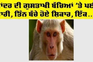 Trending News : ਬਾਂਦਰ ਦੀ ਗੁਸਤਾਖੀ, ਬੱਚਿਆਂ ’ਤੇ ਪਈ ਭਾਰੀ, ਤਿੰਨ ਬੱਚੇ ਹੋਏ ਸ਼ਿਕਾਰ