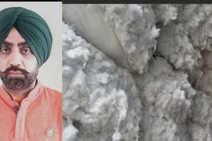 ਨਰਮੇ ਦੀ ਸਰਕਾਰੀ ਖਰੀਦ ਸ਼ੁਰੂ ਨਾ ਕੀਤੀ ਤਾਂ ਸੀਸੀਆਈ ਦਫਤਰ ਦਾ ਕਰਾਂਗੇ ਘਿਰਾਓ : ਰਾਮਾਂ