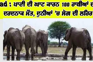 Sad : ਪਾਣੀ ਦੀ ਘਾਟ ਕਾਰਨ 100 ਹਾਥੀਆਂ ਦੀ ਦਰਦਨਾਕ ਮੌਤ, ਦੁਨੀਆਂ ’ਚ ਸੋਗ ਦੀ ਲਹਿਰ