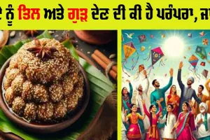 ਬੇਟੇ ਨੂੰ ਤਿਲ ਅਤੇ ਗੁੜ ਦੇਣ ਦੀ ਕੀ ਹੈ ਪਰੰਪਰਾ? ਜਾਣੋ