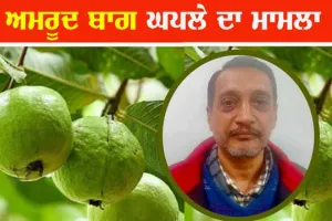 ਅਮਰੂਦ ਬਾਗ ਘੁਟਾਲਾ : ਜਸਪ੍ਰੀਤ ਸਿੱਧੂ ਦਾ ਤਿੰਨ ਦਿਨਾਂ ਦਾ ਰਿਮਾਂਡ ਹੋਰ ਵਧਿਆ