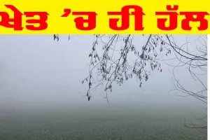 Solution : ਖੇਤ ’ਚ ਹੀ ਹੱਲ