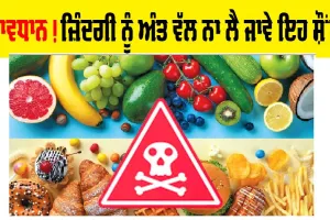 ਸਾਵਧਾਨ! ਜ਼ਿੰਦਗੀ ਦੇ ਅੰਤ ਵੱਲ ਨਾ ਲੈ ਤੁਰੇ ਕਿਤੇ ਇਹ ਸ਼ੌਂਕ, ਬੱਚਿਆਂ ਨੂੰ ਸੰਭਾਲਣ ਦੀ ਲੋੜ