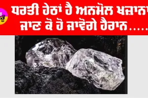 Treasure: ਧਰਤੀ ਹੇਠਾਂ ਹੈ ਅਨਮੋਲ ਖਜ਼ਾਨਾ, ਜਾਣ ਕੇ ਹੋ ਜਾਵੋਗੇ ਹੈਰਾਨ…