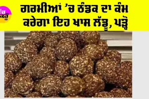 Summer special Laddu: ਗਰਮੀਆਂ ’ਚ ਠੰਡਕ ਦਾ ਕੰਮ ਕਰੇਗਾ ਇਹ ਖਾਸ ਲੱਡੂ, ਜਾਣੋ