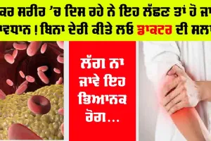 Clogged Arteries: ਜੇਕਰ ਸਰੀਰ ’ਚ ਦਿਸ ਰਹੇ ਨੇ ਇਹ ਲੱਛਣ ਤਾਂ ਹੋ ਜਾਓ ਸਾਵਧਾਨ! ਲੱਗ ਨਾ ਜਾਵੇ ਇਹ ਭਿਆਨਕ ਰੋਗ….