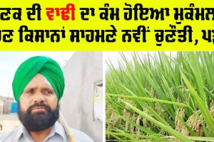 ਕਣਕ ਦੀ ਵਾਢੀ ਦਾ ਕੰਮ ਮੁਕੰਮਲ, ਹੁਣ ਕਿਸਾਨਾਂ ਸਾਹਮਣੇ ਨਵੀਂ ਚੁਣੌਤੀ