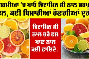 Vitamin C Fruits: ਕੀ ਵਿਟਾਮਿਨ C ਨਾਲ ਭਰਪੂਰ ਫਲ ਗਰਮੀਆਂ ’ਚ ਖਾਣਾ ਹੈ ਫਾਇਦੇਮੰਦ ? ਜਾਣੋ