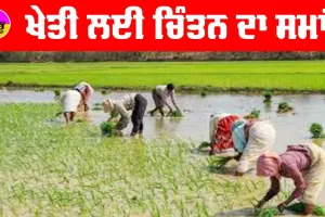 ਖੇਤੀ ਲਈ ਚਿੰਤਨ ਦਾ ਸਮਾਂ