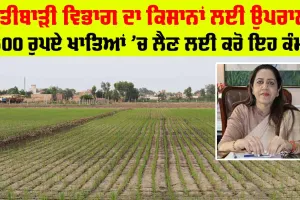 ਖੇਤੀਬਾੜੀ ਵਿਭਾਗ ਦਾ ਕਿਸਾਨਾਂ ਲਈ ਉਪਰਾਲਾ, 1500 ਪ੍ਰਤੀ ਏਕੜ ਲੈਣ ਲਈ ਕਰੋ ਇਹ ਕੰਮ