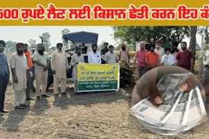 ਝੋਨੇ ਦੀ ਸਿੱਧੀ ਬਿਜਾਈ ਕਰਨ ਵਾਲੇ ਕਿਸਾਨ 1500 ਰੁਪਏ ਲੈਣ ਲਈ ਖੇਤੀਬਾੜੀ ਵਿਭਾਗ ਦੇ ਇਨ੍ਹਾਂ ਨੰਬਰਾਂ ’ਤੇ ਕਰਨ ਸੰਪਰਕ
