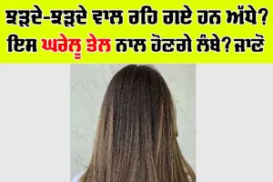 Long Hair: ਝੜਦੇ-ਝੜਦੇ ਵਾਲ ਰਹਿ ਗਏ ਹਨ ਅੱਧੇ? ਇਸ ਘਰੇਲੂ ਤੇਲ ਨਾਲ ਹੋਣਗੇ ਲੰਬੇ?
