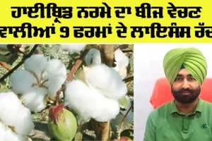 ਖੇਤੀਬਾੜੀ ਵਿਭਾਗ ਵੱਲੋਂ ਹਾਈਬ੍ਰਿਡ ਨਰਮੇ ਦਾ ਬੀਜ ਵੇਚਣ ਵਾਲੀਆਂ 9 ਫਰਮਾਂ ਦੇ ਲਾਇਸੰਸ ਰੱਦ