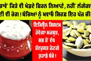 Food: ਬੱਚਿਆਂ ਨੂੰ ਜ਼ਰੂਰ ਖਵਾਓ ਇਹ ਪੰਜ ਰਾਮਬਾਣ ਚੀਜ਼ਾਂ, ਬੱਚੇ ਨਹੀਂ ਹੋਣਗੇ ਕਦੇ ਵੀ ਬਿਮਾਰ | Healthy Food Near Me