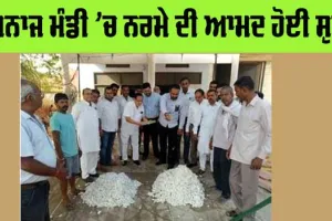 Cotton Price: ਅਨਾਜ ਮੰਡੀ ’ਚ ਨਰਮੇ ਦੀ ਆਮਦ ਹੋਈ ਸੁਰੂ