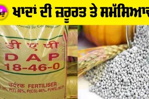 DAP Fertilizer: ਖਾਦਾਂ ਦੀ ਜ਼ਰੂਰਤ ਤੇ ਸਮੱਸਿਆਵਾਂ