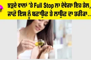 Hair Care Tips: ਝੜਦੇ ਵਾਲਾਂ ’ਤੇ Full Stop ਲਾ ਦੇਵੇਗਾ ਇਹ ਤੇਲ, ਜਾਣੋ ਇਸ ਨੂੰ ਬਣਾਉਣ ਤੇ ਲਾਉਣ ਦਾ ਤਰੀਕਾ…