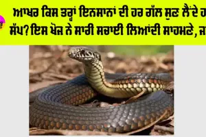 Snake News: ਆਖਰ ਕਿਸ ਤਰ੍ਹਾਂ ਇਨਸਾਨਾਂ ਦੀ ਹਰ ਗੱਲ ਸੁਣ ਲੈਂਦੇ ਹਨ ਸੱਪ? ਇਸ ਖੋਜ ਨੇ ਸਾਰੀ ਸਚਾਈ ਲਿਆਂਦੀ ਸਾਹਮਣੇ, ਜਾਣੋ