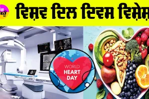 World Heart Day: ਵਿਸ਼ਵ ਦਿਲ ਦਿਵਸ ਵਿਸ਼ੇਸ਼ : ਰੈਗੂਲਰ ਐਕਸਰਸਾਈਜ਼, ਬੈਲੰਸ ਡਾਈਟ ਤੇ ਹੈਲਦੀ ਆਦਤਾਂ ਨੂੰ ਅਪਣਾ ਕੇ ਰਹਿ ਸਕਦੇ ਹੋ ਦਿਲ ਰੋਗ ਤੋਂ ਫ੍ਰੀ