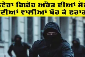 Punjab Crime News: ਲੁਟੇਰਾ ਗਿਰੋਹ ਔਰਤ ਦੀਆਂ ਸੋਨੇ ਦੀਆਂ ਵਾਲੀਆਂ ਖੋਹ ਕੇ ਫਰਾਰ