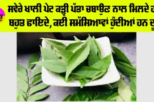 Curry Leaves Benefits: ਸਵੇਰੇ ਖਾਲੀ ਪੇਟ ਕੜ੍ਹੀ ਪੱਤਾ ਚਬਾਉਣ ਦੇ ਜਬਰਦਸਤ ਫਾਇਦੇ, ਭਾਰ ਘਟਾਉਣ ਦੇ ਨਾਲ-ਨਾਲ ਅੱਖਾਂ ਨੂੰ ਵੀ ਹੋਵੇਗਾ ਫਾਇਦਾ…