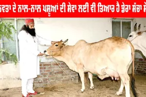 International Animal Day: ਪੂਜਨੀਕ ਗੁਰੂ ਜੀ ਦੇ ਪਵਿੱਤਰ ਮਾਰਗਦਰਸ਼ਨ ਵਿੱਚ ਪਸ਼ੂਆਂ ਦੇ ਕਲਿਆਣ ਲਈ ਕੀਤੇ ਜਾ ਰਹੇ ਸੱਤ ਭਲਾਈ ਕਾਰਜ