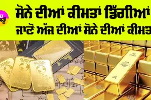 Gold Price Today: ਸੋਨੇ ਦੀਆਂ ਕੀਮਤਾਂ ਡਿੱਗੀਆਂ, ਜਾਣੋ ਅੱਜ ਦੇ MCX ਸੋਨੇ ਦੀਆਂ ਕੀਮਤਾਂ