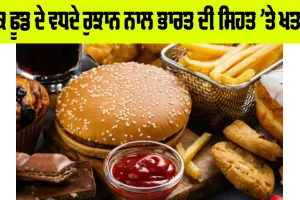 Junk Food: ਜੰਕ ਫੂਡ ਦੇ ਵਧਦੇ ਰੁਝਾਨ ਨਾਲ ਭਾਰਤ ਦੀ ਸਿਹਤ ’ਤੇ ਖਤਰਾ