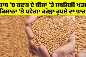 Punjab News: ਪੰਜਾਬ ’ਚ ਕਣਕ ਦੇ ਬੀਜਾਂ ’ਤੇ ਸਬਸਿਡੀ ਖਤਮ, ਕਿਸਾਨਾਂ ’ਤੇ ਪਵੇਗਾ ਕਰੋੜਾਂ ਰੁਪਏ ਦਾ ਭਾਰ
