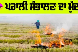 ਪਰਾਲੀ ਸੰਭਾਲਣ ਦਾ ਮੁੱਦਾ