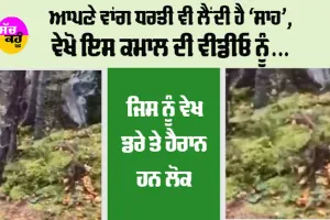 Trending News: ਆਪਣੇ ਵਾਂਗ ਧਰਤੀ ਵੀ ਲੈਂਦੀ ਹੈ ‘ਸਾਹ’, ਵੇਖੋ ਇਹ ਕਮਾਲ ਦੀ ਵੀਡੀਓ ਨੂੰ, ਜਿਸ ਨੂੰ ਵੇਖ ਡਰੇ ਤੇ ਹੈਰਾਨ ਹਨ ਲੋਕ…