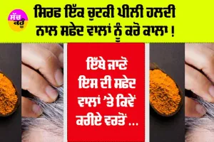 Turmeric For White Hair: ਕੀ ਚਿੱਟੇ ਵਾਲਾਂ ਨੂੰ ਕਾਲਾ ਕਰ ਸਕਦੀ ਹੈ ਹਲਦੀ? ਇੱਥੇ ਜਾਣੋ ਸਫੇਦ ਵਾਲਾਂ ’ਤੇ ਕਿਵੇਂ ਕਰੀਏ ਇਸ ਦੀ ਵਰਤੋਂ….