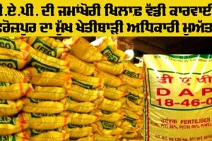 Agriculture Officials Suspended: ਡੀ.ਏ.ਪੀ. ਦੀ ਜਮਾਂਖੋਰੀ ਖ਼ਿਲਾਫ਼ ਵੱਡੀ ਕਾਰਵਾਈ, ਫਿਰੋਜ਼ਪੁਰ ਦਾ ਮੁੱਖ ਖੇਤੀਬਾੜੀ ਅਧਿਕਾਰੀ ਮੁਅੱਤਲ
