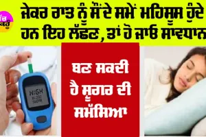 Diabetes: ਜੇਕਰ ਰਾਤ ਨੂੰ ਸੌਂਦੇ ਸਮੇਂ ਮਹਿਸੂਸ ਹੁੰਦੇ ਹਨ ਇਹ ਲੱਛਣ, ਤਾਂ ਹੋ ਜਾਓ ਸਾਵਧਾਨ, ਬਣ ਸਕਦੀ ਹੈ ਸ਼ੂਗਰ ਦੀ ਸਮੱਸਿਆ