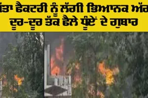 ਗੱਤਾ ਫੈਕਟਰੀ ਨੂੰ ਲੱਗੀ ਅੱਗ, ਨੇੜੇ ਗੈਸ ਏਜੰਸੀ ਹੋਣ ਕਾਰਨ ਸਹਿਮ ਦਾ ਮਾਹੌਲ