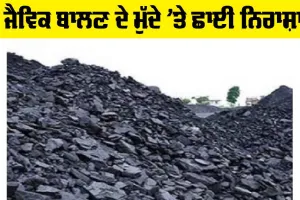 Fossil Fuel: ਜੈਵਿਕ ਬਾਲਣ ਦੇ ਮੁੱਦੇ ’ਤੇ ਛਾਈ ਨਿਰਾਸ਼ਾ