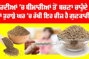 Health Benefits of Ajwain: ਸਰਦੀਆਂ ’ਚ ਬੀਮਾਰੀਆਂ ਤੋਂ ਬਚਣਾ ਚਾਹੁੰਦੇ ਹੋ ਤਾਂ ਤੁਹਾਡੇ ਘਰ ’ਚ ਰੱਖੀ ਇਹ ਚੀਜ਼ ਹੈ ਗੁਣਕਾਰੀ!
