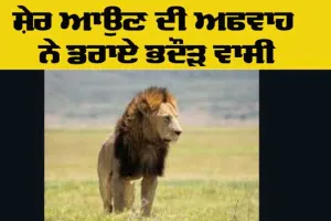 Lion Viral News: ਸ਼ੇਰ ਆਉਣ ਦੀ ਅਫਵਾਹ ਨੇ ਡਰਾਏ ਭਦੌੜ ਵਾਸੀ