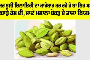 Cardamom: ਜੇਕਰ ਤੁਸੀਂ ਇਲਾਇਚੀ ਦਾ ਕਾਰੋਬਾਰ ਕਰ ਰਹੇ ਹੋ ਤਾਂ ਇਹ ਖਬਰ ਤੁਹਾਡੇ ਕੰਮ ਦੀ, ਜਾਣੋ ਮਸਾਲਾ ਬੋਰਡ ਦੇ ਤਾਜ਼ਾ ਨਿਯਮ!
