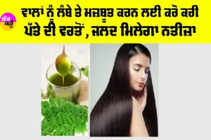 Long Hair Tips: ਵਾਲਾਂ ਨੂੰ ਲੰਬੇ ਤੇ ਮਜ਼ਬੂਤ ਕਰਨ ਲਈ ਕਰੋ ਕਰੀ ਪੱਤੇ ਦੀ ਵਰਤੋਂ, ਜਾਣੋ ਕਿਵੇਂ ਕਰਨੀ ਹੈ ਇਸ ਦੀ ਵਰਤੋਂ