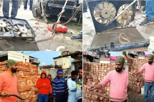 Snake News: ਇੱਕ ਸੱਪ ਨੇ ਕਾਰ ਦੀ ਕੀਤੀ ਅਜਿਹੀ ਹਾਲਤ, ਤੁਸੀਂ ਵੀ ਦੇਖ ਕੇ ਰਹਿ ਜਾਓਗੇ ਹੈਰਾਨ