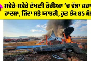 South Korea Plane Crash: ਸਵੇਰੇ-ਸਵੇਰੇ ਦੱਖਣੀ ਕੋਰੀਆ ’ਚ ਵੱਡਾ ਜ਼ਹਾਜ਼ ਹਾਦਸਾ, 85 ਦੀ ਮੌਤ