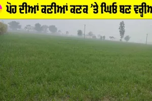 Weather Punjab: ਪੋਹ ਦੀਆਂ ਕਣੀਆਂ ਕਣਕ ’ਤੇ ਘਿਓ ਬਣ ਵਰ੍ਹੀਆਂ